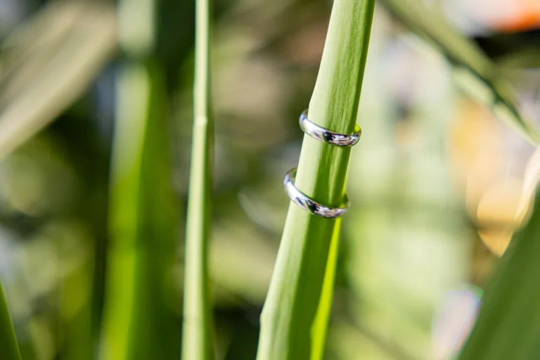 vjenčano prstenje fotografija